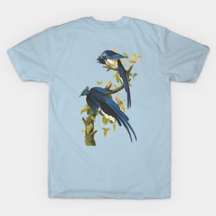 Blue Jay Bird Vintage Wildlife Illustration T-Shirt